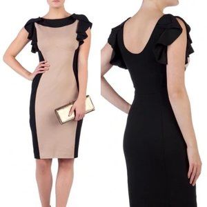Ted Baker Moxy Ruffle Colorblock Dress